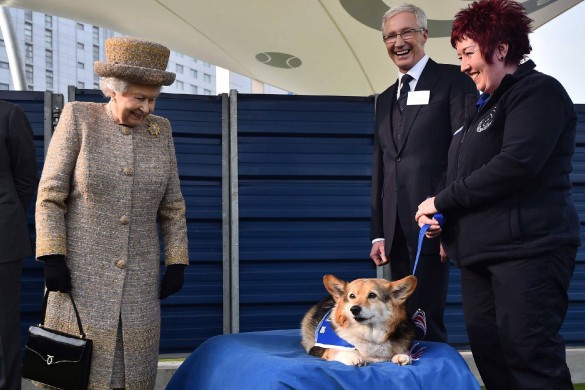 La reine Elizabeth désespérée par la mort de son chien Holly